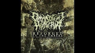 omnipotent hysteria - sanguineous apparition (remastered)