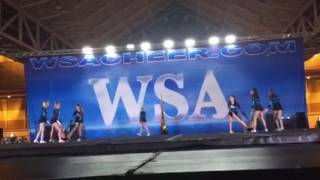 Angel Rays WSA 2017