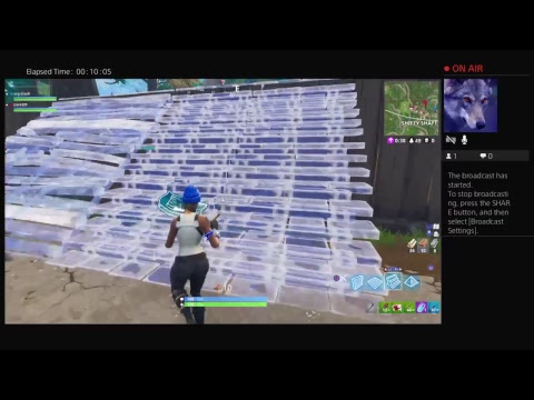 Fortnight  with zave