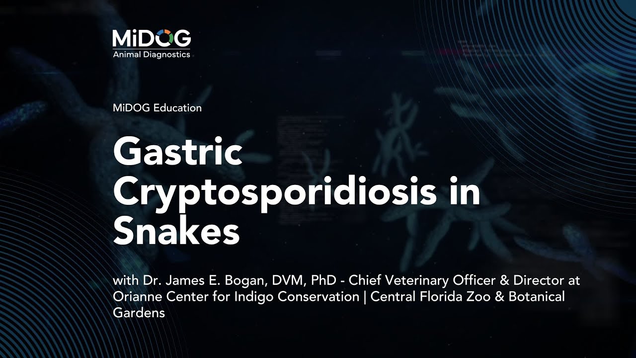 Gastric Cryptosporidiosis in Snakes: Diagnosis and Management with Dr. James Bogan, DVM, PhD