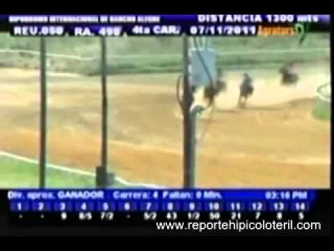 Resumen Lunes 07 de Noviembre de 2011 - Rancho Alegre