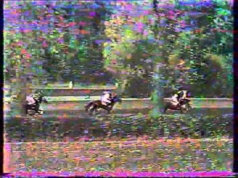 Velká Pardubická 1983-Sagar