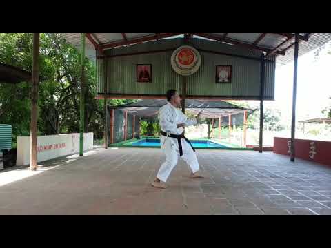 SENIOR MASCULINO KATA HEIAN NIDAN RONDA UNO , PATRICIO PAZ.