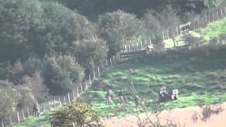 East Kent Hunt Terriermen Digout and Kill 12 October 2013