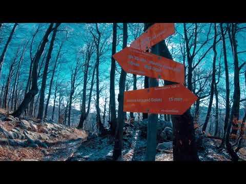 Today a hike to the small Golak 1495m.Slovenia Vipava Valley