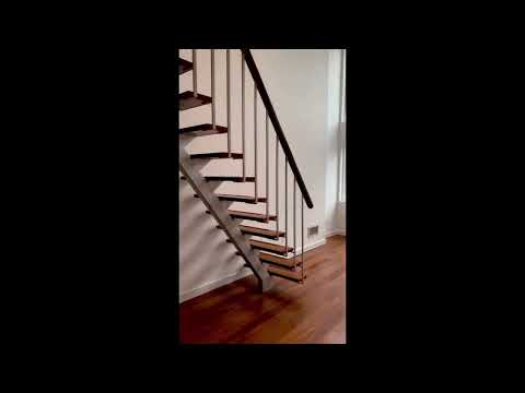 video 1