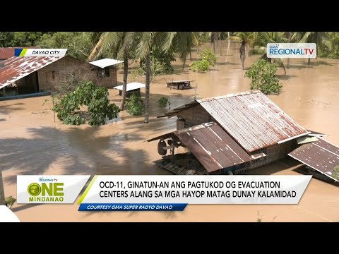 One Mindanao: OCD-11, ginatun-an ang pagtukod og evacuation centers alang sa mga hayop