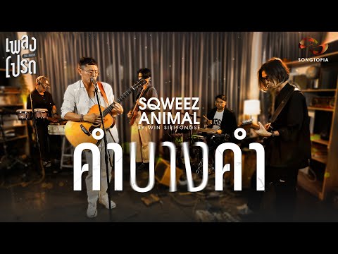 คำบางคำ - WIN SQWEEZ ANIMAL | เพลงโปรด