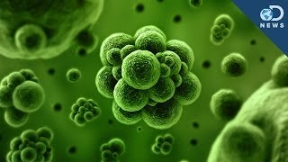 Know Your Gut: uBiome Sequences Human Bacteria