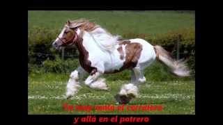 El Corralero con letra Chords - Chordify