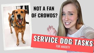 ANXIETY Service Dog Tasks | CROWD CONTROL