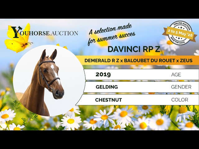 Davinci RP Z