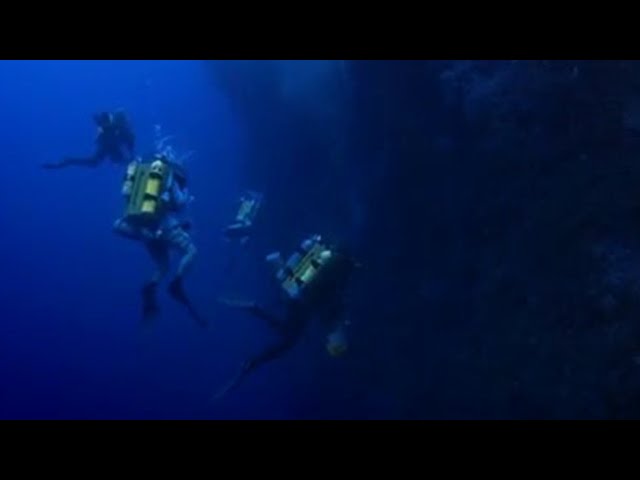 A voyage of discovery | Pacific Abyss | BBC