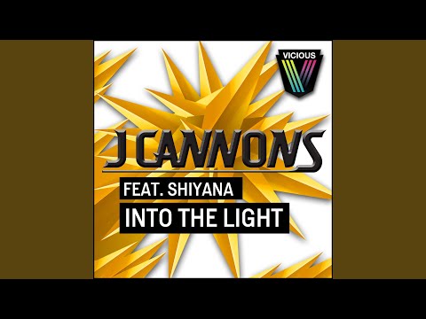 Into The Light (Steve Hart Remix)