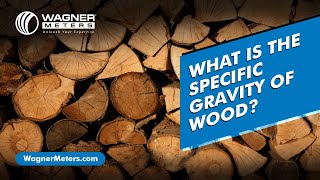 Understanding the Specific Gravity of Wood