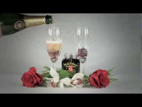 download lagu mp3 mp4 Hibiscus And Champagne, download lagu Hibiscus And Champagne gratis, unduh video klip Hibiscus And Champagne