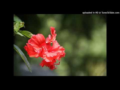 Anouar Brahem  : The Astounding Eyes Of Rita