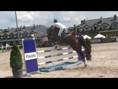 Cashtime 6y Cashmoaker/Corofino