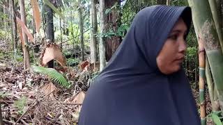 preview picture of video 'Wisata Alam Air Terjun Bibinoi Bacan Timur Tengah'