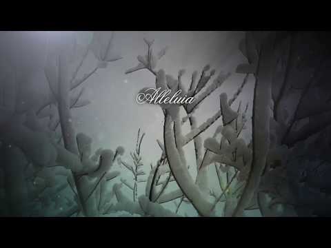 A Christmas Alleluia Accompaniment DVD Preview