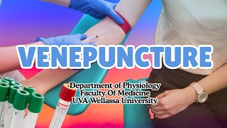 Venepuncture Demonstration I Step-by-Step Guide for Medical Students