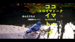 ベルギー在住のアーティスト、ほんださちよさんに聞く『絶望へのヒント』