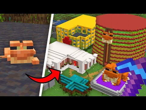 I Built my Frog a MEGA City