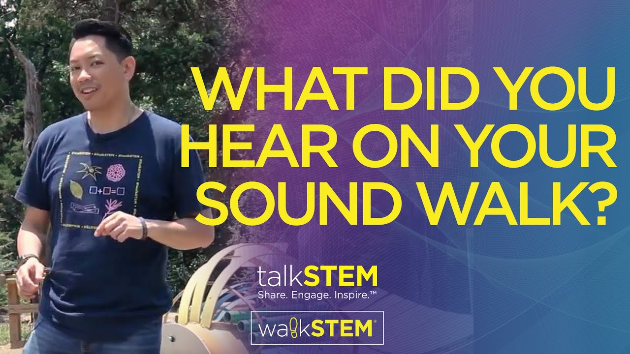 What Did You Hear on Your Sound Walk?