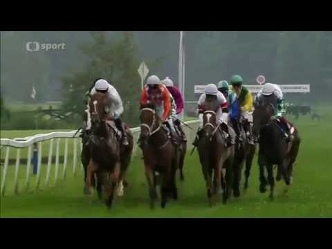 2016.07.24 Oaks Holdingu Rabbit CZ (Czech Oaks) - Sedmikraska