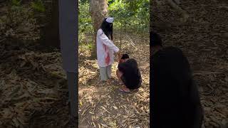 Download lagu HAUNTED BIG TREE mp3