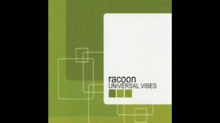 Racoon - Coyto