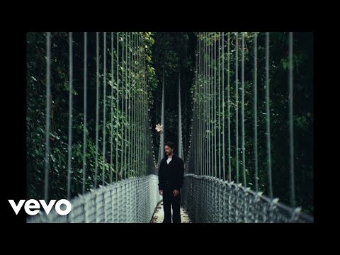 Juanes - El Que Te Perdió (Visualizer)