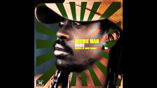 Shawnna-Dude (The Remix)