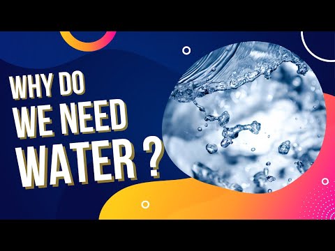 WHY DO WE NEED WATER?