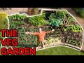 Growing a Vegetable Garden - Day 1 to Day 150