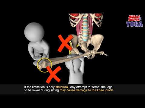 Lotus Pose and Knee Pain , YOGA