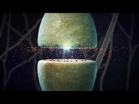 Hemijske sinapse-titlovano