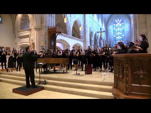 Choose Love - Kyle Pederson | No Name Chorale