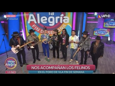 Los Felinos - Lápiz Labial En Venga la Alegria