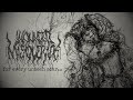 Wounded Masquerade For Every Unseen Scar Feat Hatsune Miku Official Lyric Video