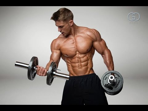 FitPose Detector Demo