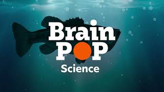 Welcome to BrainPOP Science