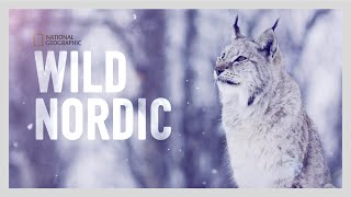 WILD NORDIC | Viking Spirit | Trailer
