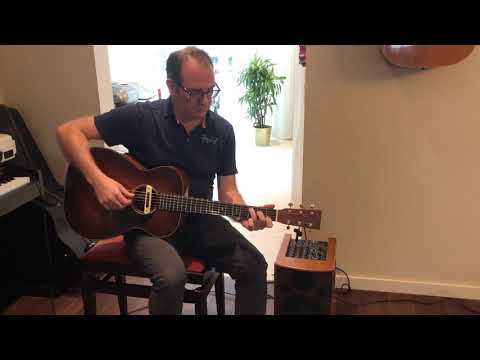 2012 Martin 00-DB Jeff Tweedy signature model