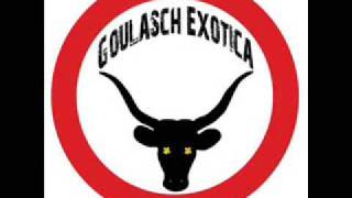 Goulasch Exotica - Fekete tyúk, fekete kút