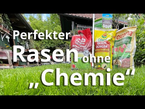 Ein perfekter Rasen ohne „Chemie“ - so geht’s