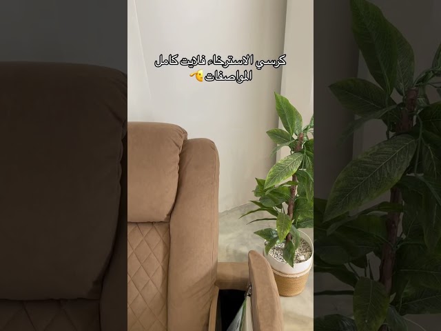 فلايت -ثابت بني