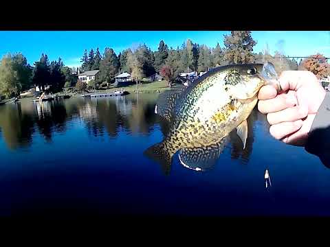 FWTH - Gettin These SLABS...