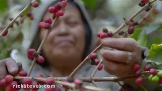 Globalization in the Developing World