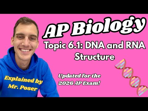 6.1 DNA and RNA Structure - AP Biology (Updated 2025-2026)